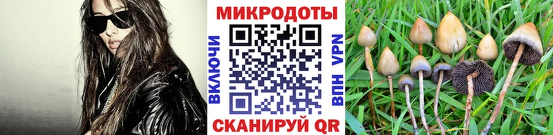 купить   shop телеграм  Галлюциногенные грибы прущие грибы  Краснокаменск 